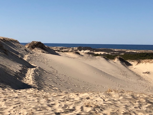 dune shacks trail best